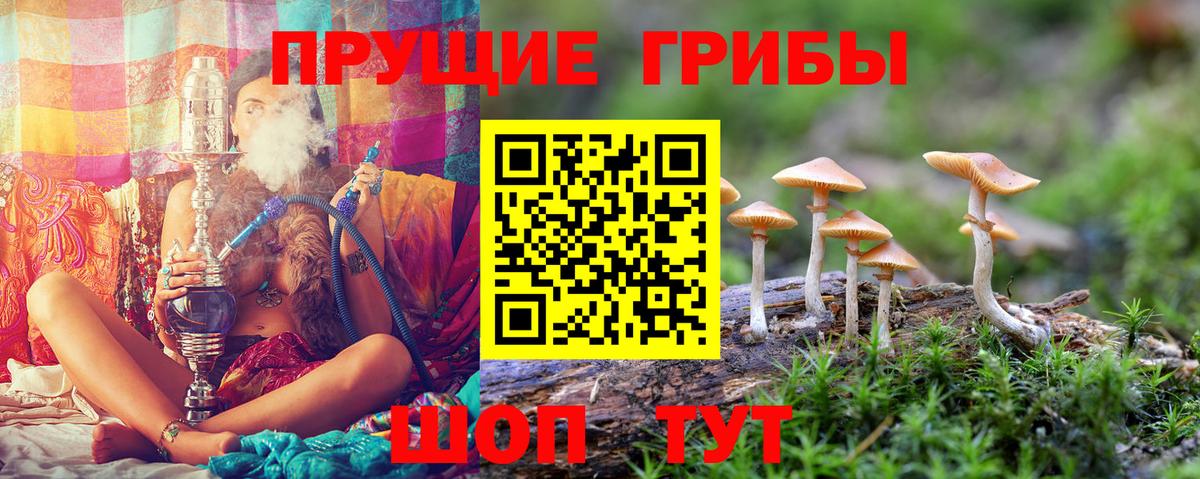 Керчь  Галлюциногенные грибы ЛСД  Вход с VPN 