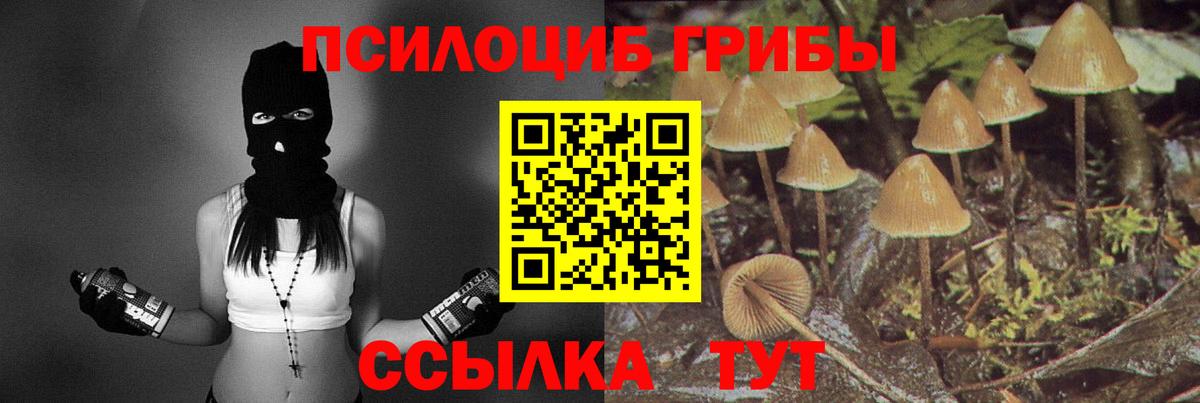 Псилоцибиновые грибы GOLDEN TEACHER Керчь